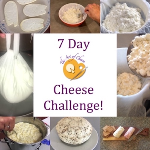 7-day cheese challenge graphic